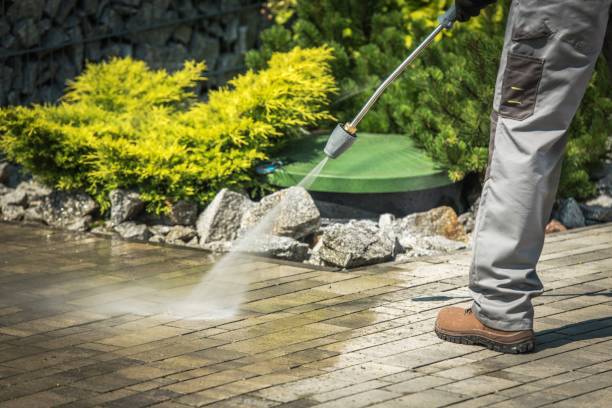 Best Soft Washing  in Oak Lawn, IL